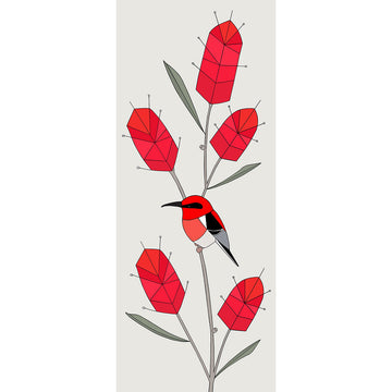 A portrait print of an illustrated scarlet honey eater bird and bottlebrush by Eggpicnic.