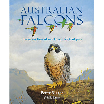 'Australian Falcons' book cover featuring an illustration of a falcon sitting on a ledge with mountains in the background.