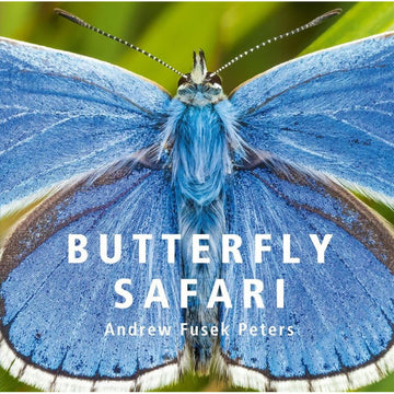 'Butterfly Safari' book cover featuring a close up photo of a blue butterfly.