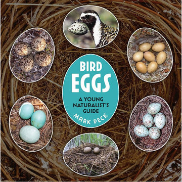 'Bird Eggs' book cover featuring six photos of different eggs in egg shape frame photos on top of a photo of a bird nest.