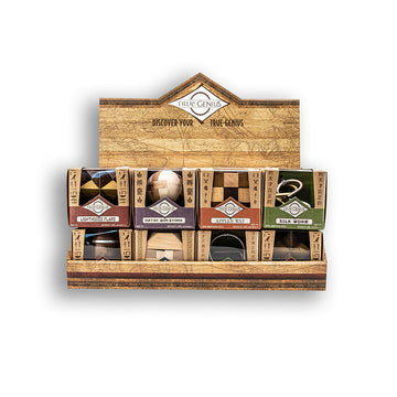 Puzzle Ancient Metal and Wood Assorted - True Genius