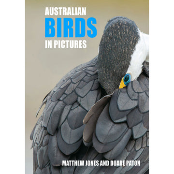 'Australian Birds in Pictures' book cover featuring a close up photo of a bird with grey wings.
