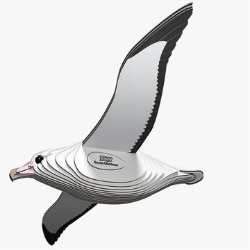 Cardboard model of a royal albatross bird.