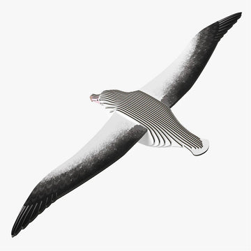 Cardboard model of a royal albatross bird.