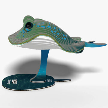 A cardboard model of a stingray.