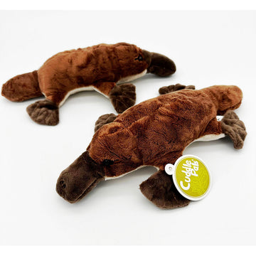 A platypus soft toy showing two different sides.
