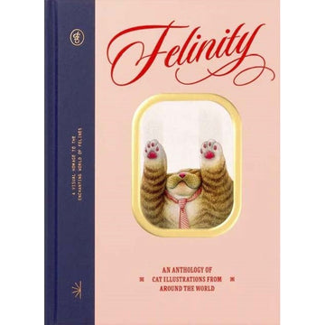 'Felinity' book cover featuring an illustration of a cat with its paws up in the air against a window.