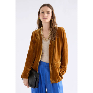 Brown velvet blazer on a white background.