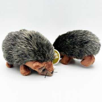 Two hedgehog soft toys showing the front and back view.