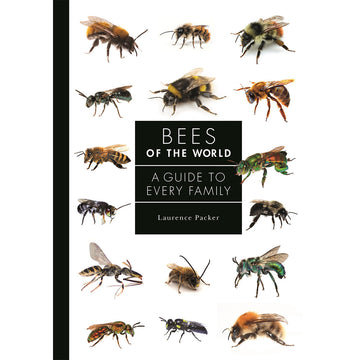 'Bees of the World' book cover featuring a white background with photos of sixteen different bees.
