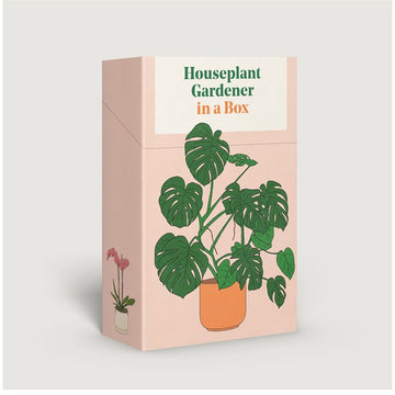 'Houseplant Gardener in a Box' box of cards featuring an illustration of a potted plant on the front and another small plant on the side.