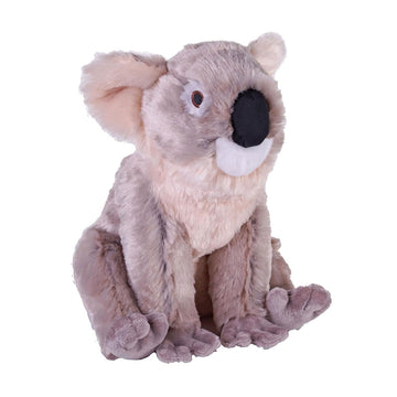 Plush toy koala on a white background.