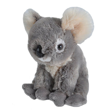 A koala shaped soft toy in a sitting position.