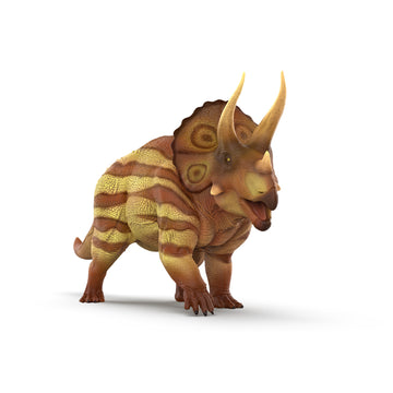 Model of a triceratops dinosaur on a white background.