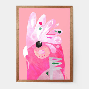 Framed abstract artwork of a galah with a pink background and colorful design