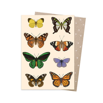 A greeting card illustrated with eight different butterflies. 