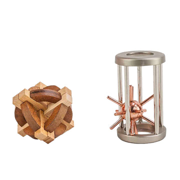 Two wooden and metal puzzles inside a box with a clear window.