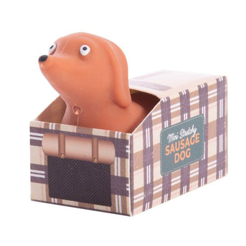 A sausage dog stretch toy inside a box.