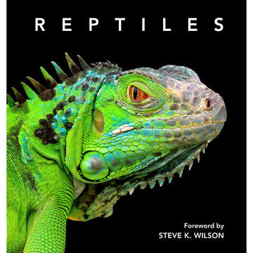 'Reptiles' book cover featuring a close up photo of a green lizard on a black background.