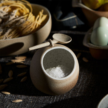 A ceramic bowl with a matching spoon full of salt.