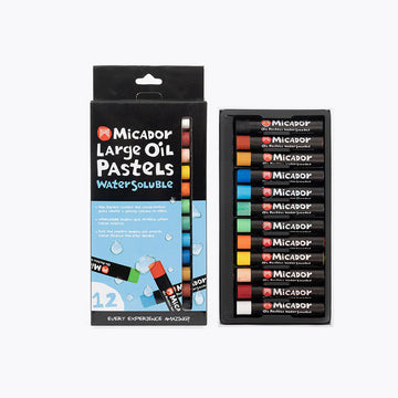 A pack of oil pastels shown both inside and outside the box in a tray.