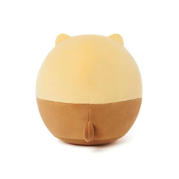 Plush toy resembling a bear with a cake on a white background.