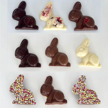 Assorted chocolate bunny shapes on a white background.