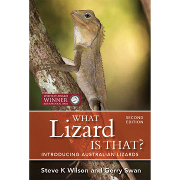 Book cover of 'What Lizard Is That?' with a photo of a lizard on a branch.