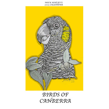 Front cover of a calendar titled 'Birds of Canberra' with an illustration of a black cockatoo by Mick Ashley.