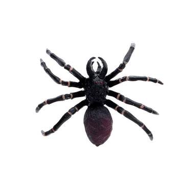 A tarantula toy attached to a green card with an illustration of a spiderweb and leaves with the heading 'Realistic Tarantula'.