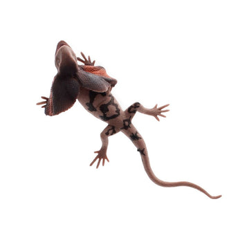 A realistic frill neck lizard toy attached to a card illustrated with leaves and the heading 'Realistic Lizard'.