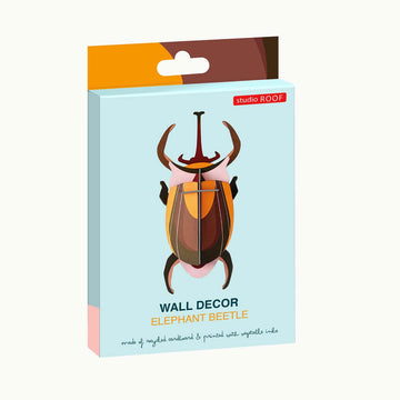 Packaging of 3D cardboard wall decor with an elephant beetle design on a light blue background