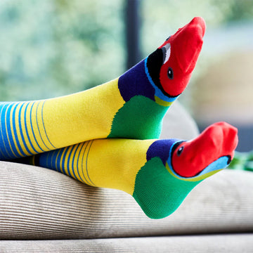 Colorful parrot-themed socks with packaging on a white background.