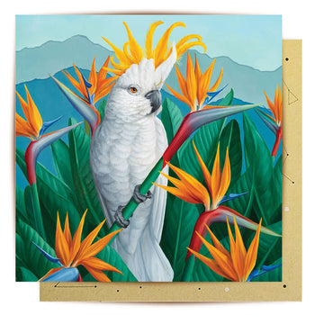 A square greeting card with an illustration of a cockatoo amongst birds of paradise flowers.