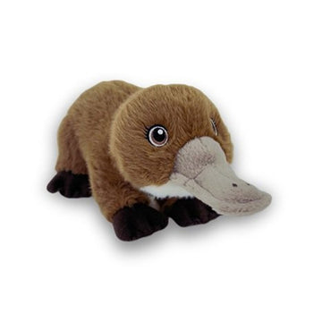 Plush toy of a platypus on a white background.