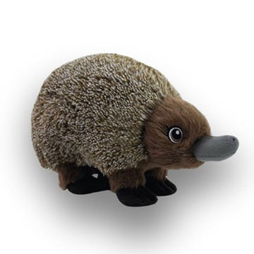 Plush toy of an echidna on a white background