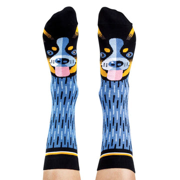 A pair of socks illustrated with blue heelers are being worn.