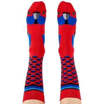 A pair of socks printed with rosella faces is being worn.
