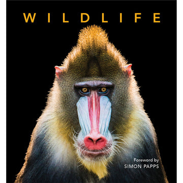 'Wildlife' book cover featuring a close up photo of a monkey on a black background.