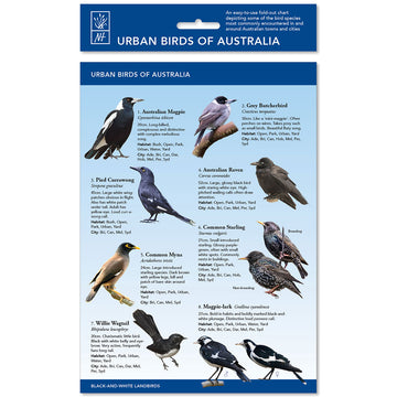 A blue chart with photos of eight different birds and a short description next to each with the heading 'Urban Birds of Australia'.
