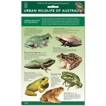 A green chart with the heading 'Urban Wildlife of Australia' with a photo of seven different frogs with a short description next to each.