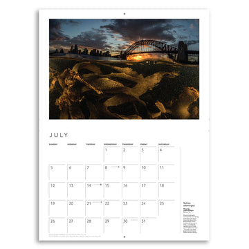 Australian Geographic 2026 Photo Calendar cover with a photo of a person walking in the outback.