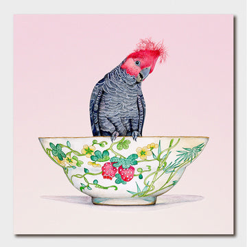 Illustration of a bird on a decorative bowl with a pink background.