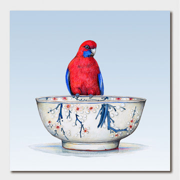 Red and blue parrot perched on a decorative bowl with a light blue background.