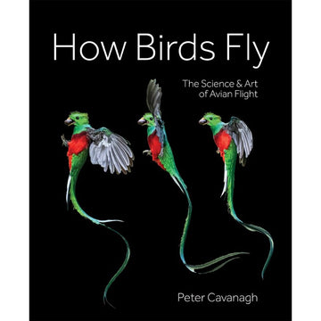 'How Birds Fly' book cover featuring a picture of a green and red bird in three different flying poses.