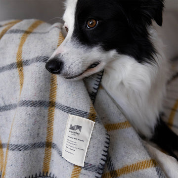 Waverley Mills label on a plaid wool blanket background.