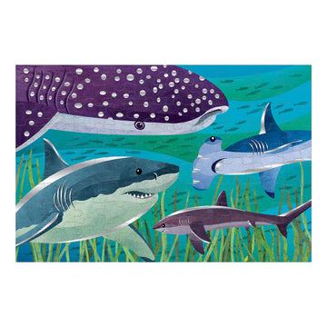 A puzzle box illustrated with different sharks.