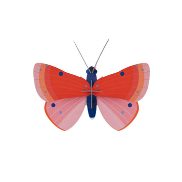 A 3D cardboard model of a butterfly coloured in shades of pink and blue.