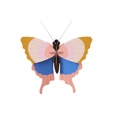 A cardboard model of a butterfly coloured pink, blue and yellow.