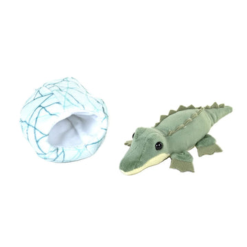 Plush toy crocodile in an egg on a white background.